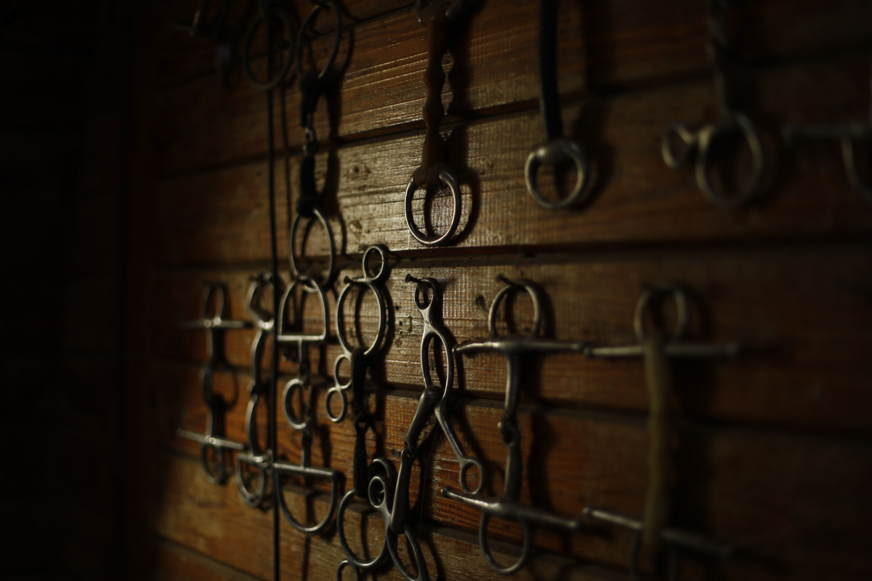 Virus Outbreak Olympic Equestrian Photo Gallery